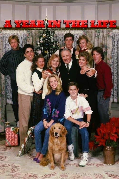 A Year in the Life Miniseries poster