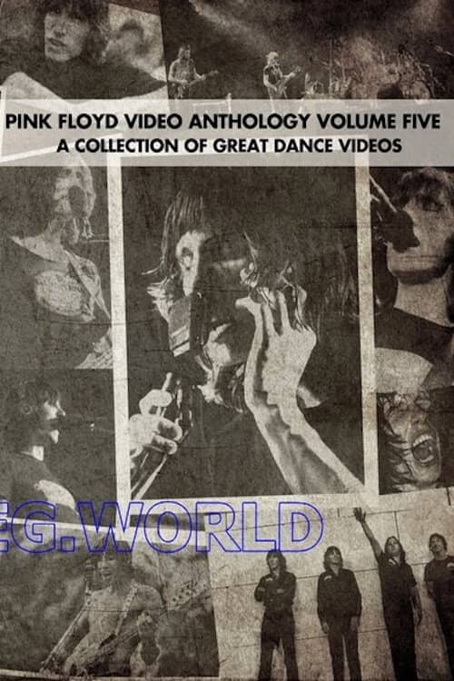 Pink Floyd: Video Anthology Vol. 5