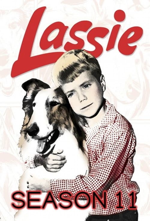 Lassie Season 11 poster