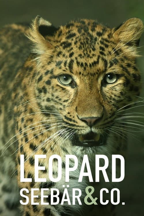 Leopard, Seebär & Co. Season 2 poster