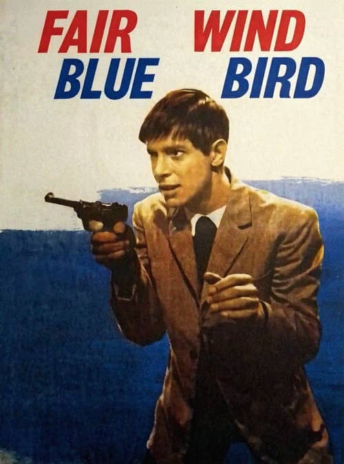 Good Wind, 'Blue Bird'!
