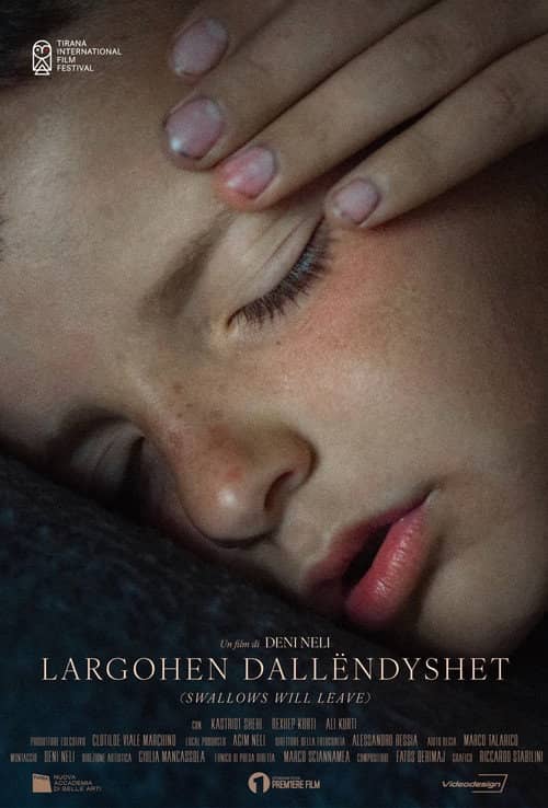 Largohen Dallëndyshet