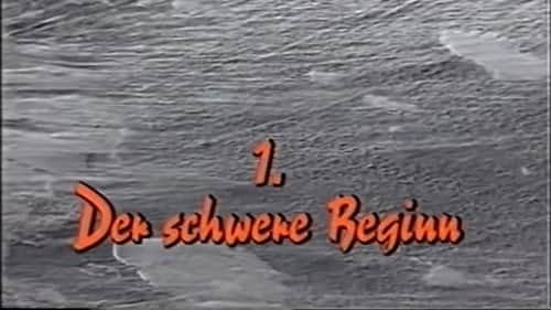Der schwere Beginn