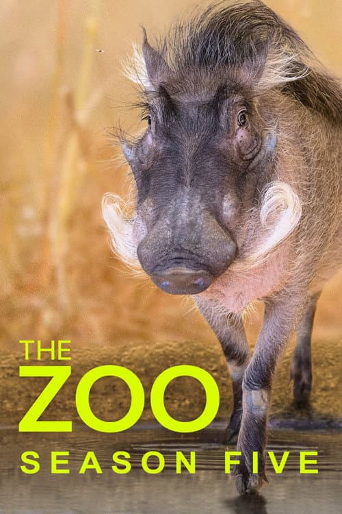 The Zoo Season 5 poster