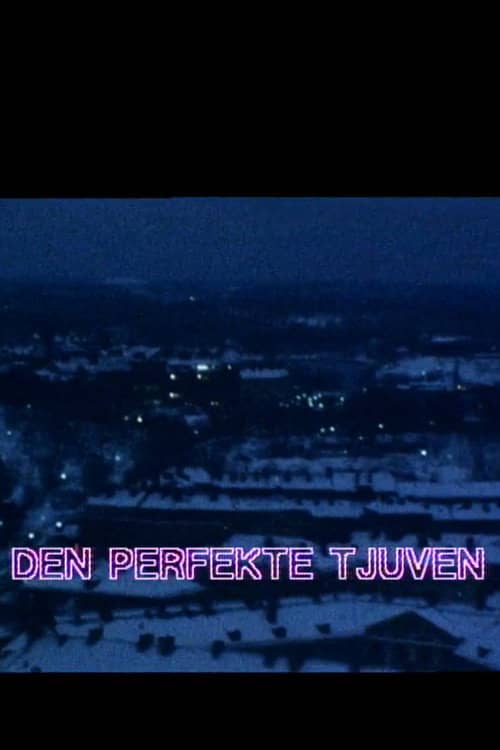 Den perfekte tjuven