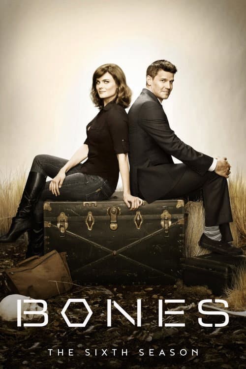 Bones Season 6 poster