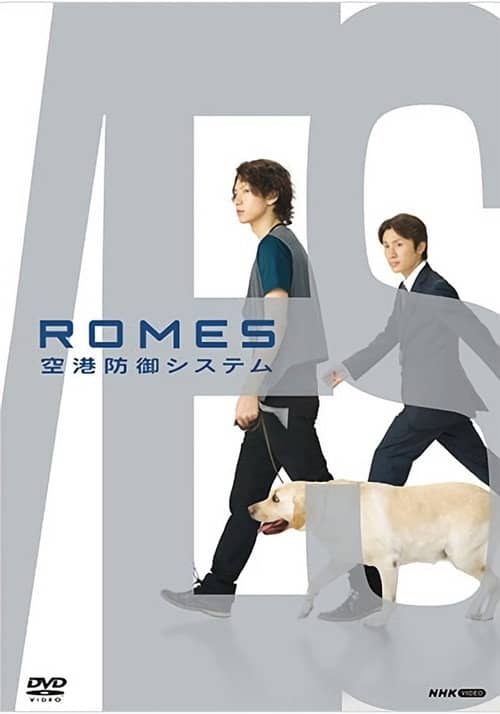 ROMES 空港防御システム