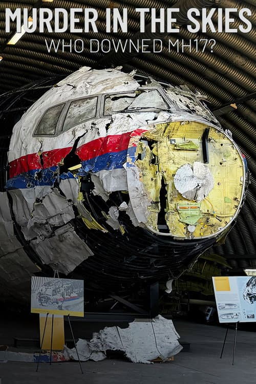 Murder in the Skies: Who Downed Mh17? Miniseries poster