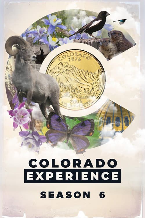 Colorado Experience Season 6 poster