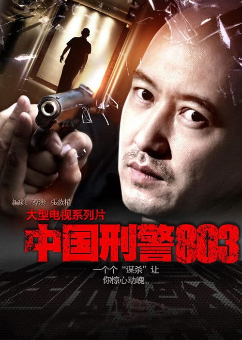 China's Criminal Police 803 Season 1 poster