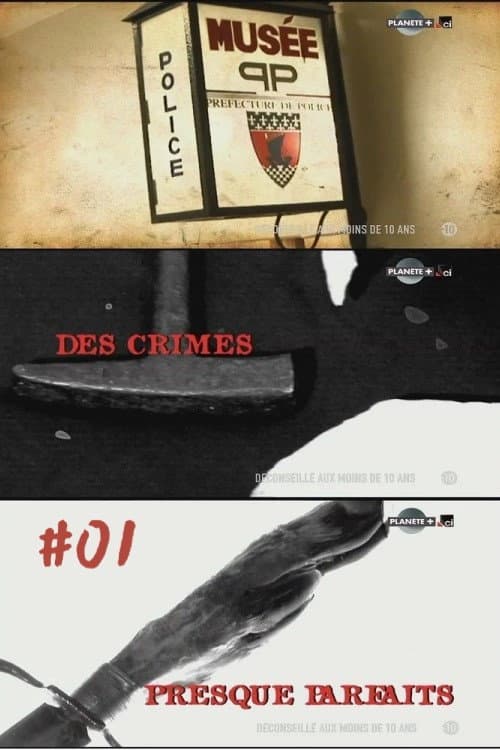 Des crimes presque parfaits Season 1 poster