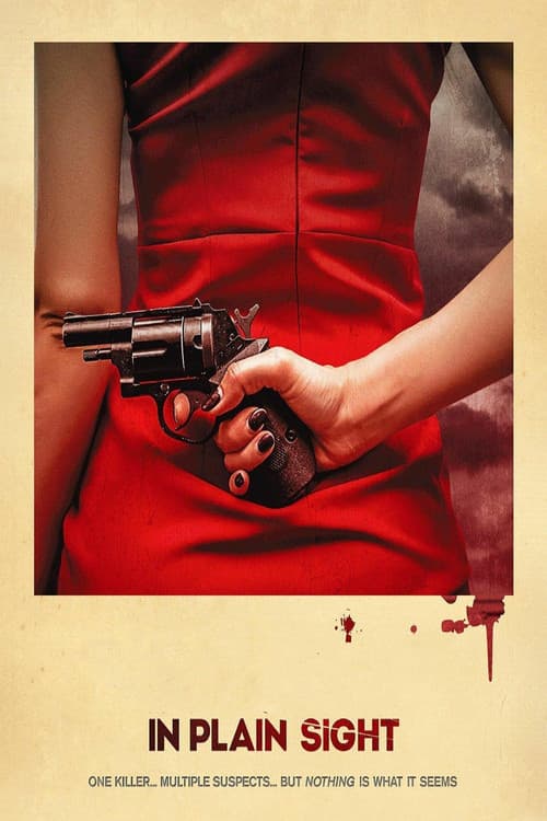 Killer in Plain Sight Season 1 poster