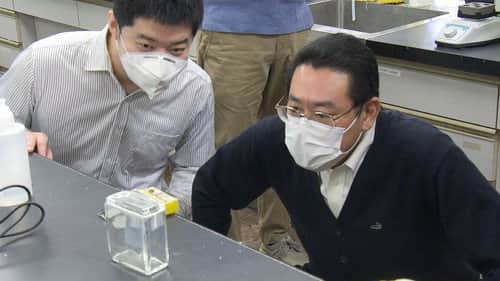 Researchers Develop Plastic That Decomposes After Use
