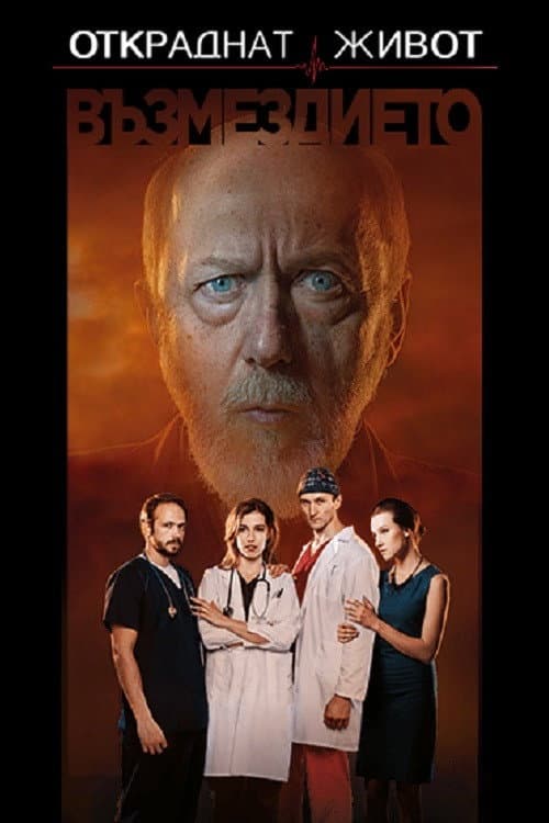Stolen Life The Retribution poster