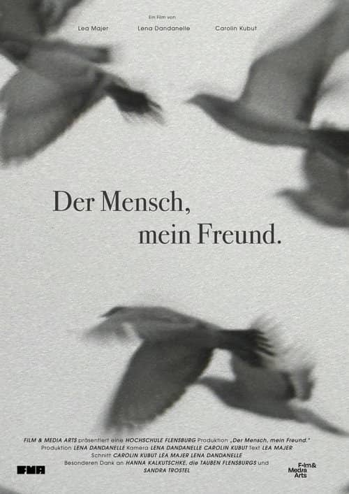 We Used to Be Friends.
