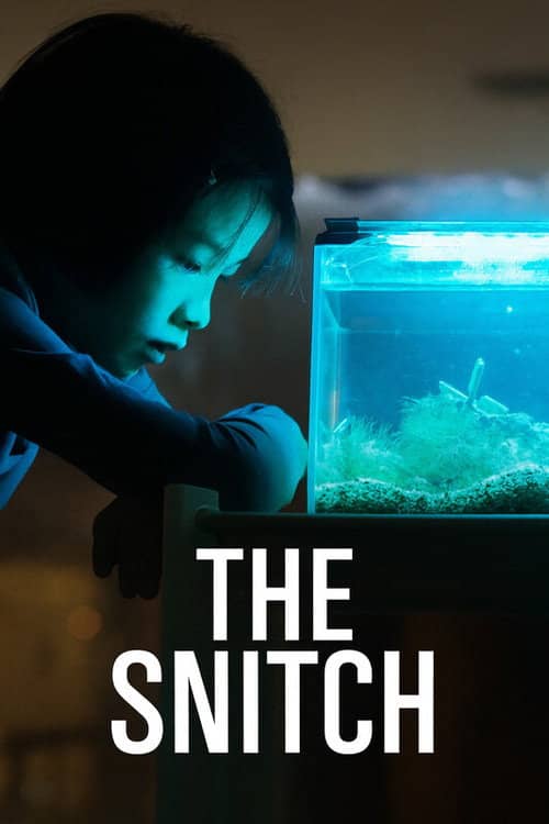 The Snitch