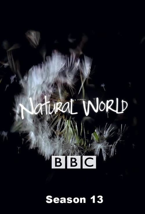 Natural World Season 13 poster