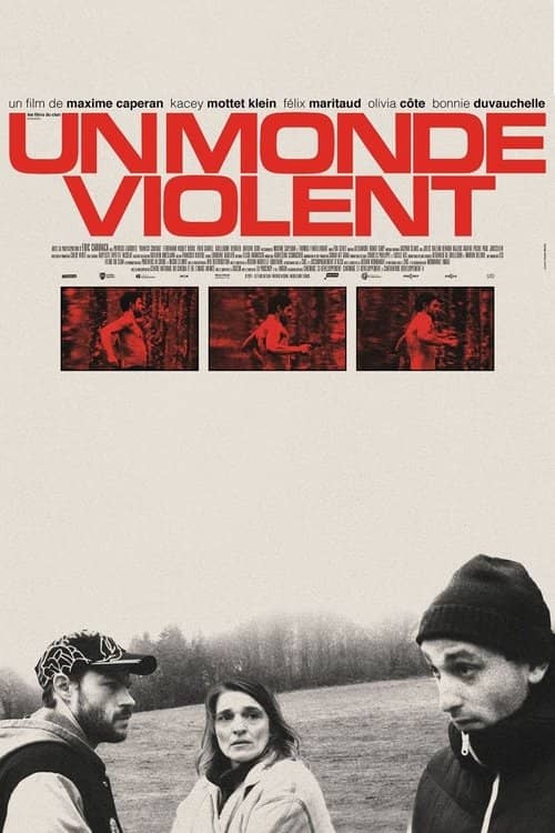 A Violent World