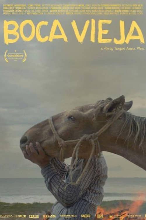 Boca Vieja