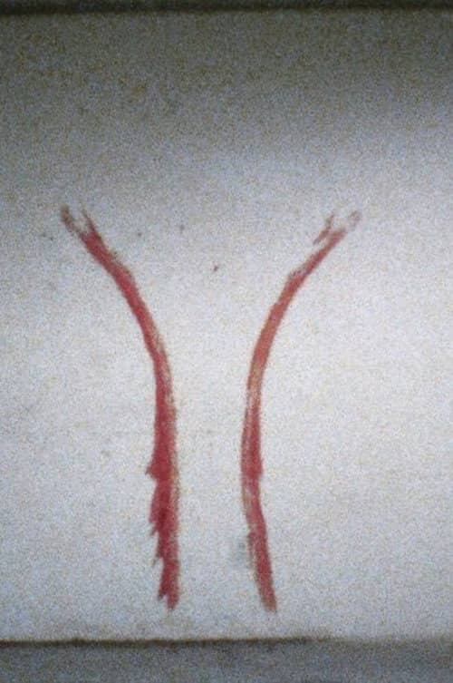 Body Tracks