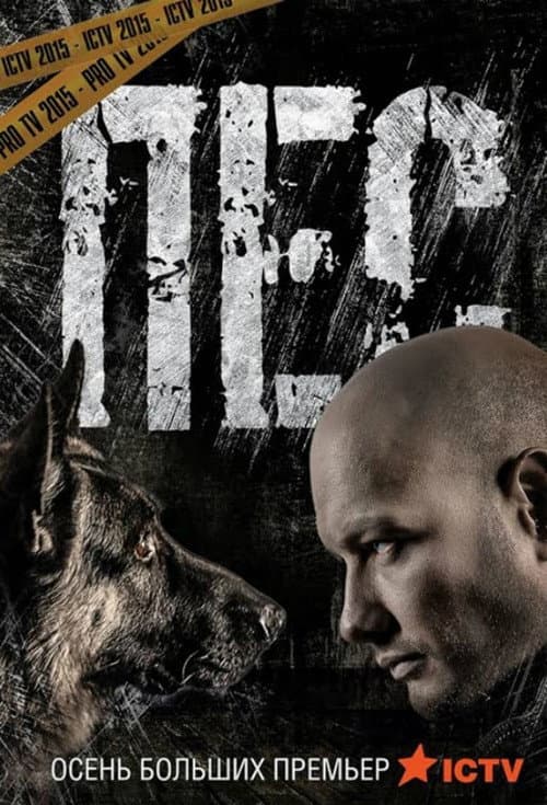Dog Season 2 poster