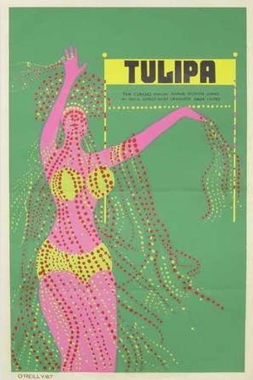 Tulipa