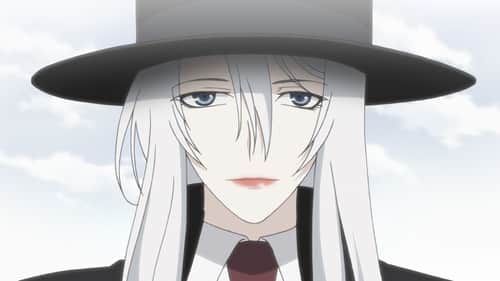 Silver-Coloured Shadow