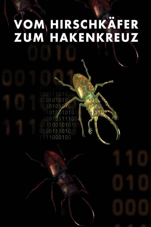 From Stag Beetle to Swastika