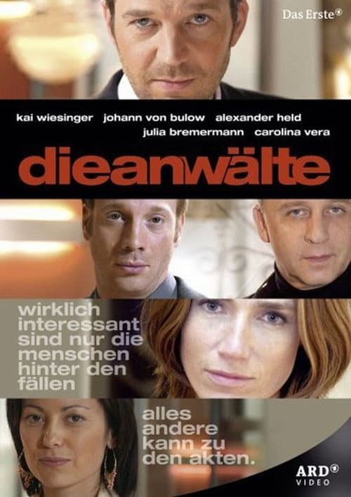 Die Anwälte Season 1 poster
