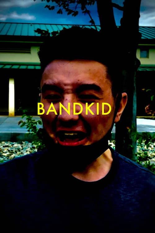 Bandkid or (The Fundamental Need of Social Acceptance)
