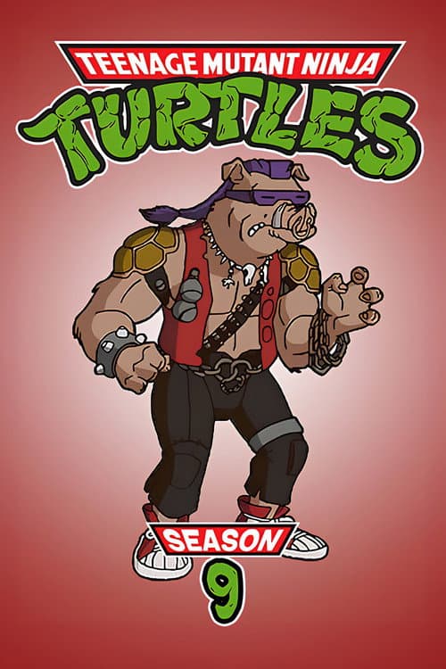 Teenage Mutant Ninja Turtles Season 9 poster