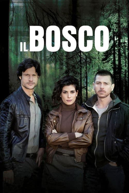 Il Bosco Season 1 poster