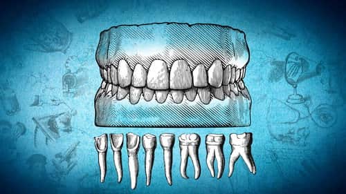 Dental Medicine