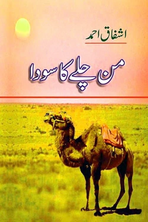 Mann Chalay Ka Sauda Mann Chalay Ka Sauda poster