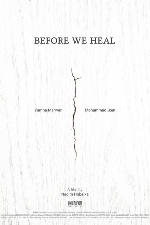 Before We Heal