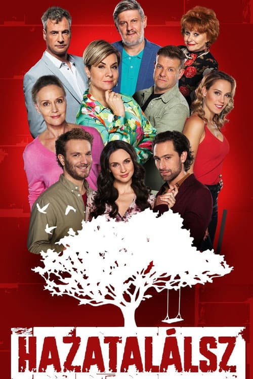 Hazatalálsz Season 1 poster