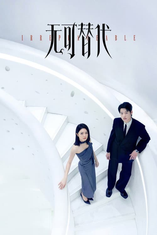 Irreplaceable Season 1 poster