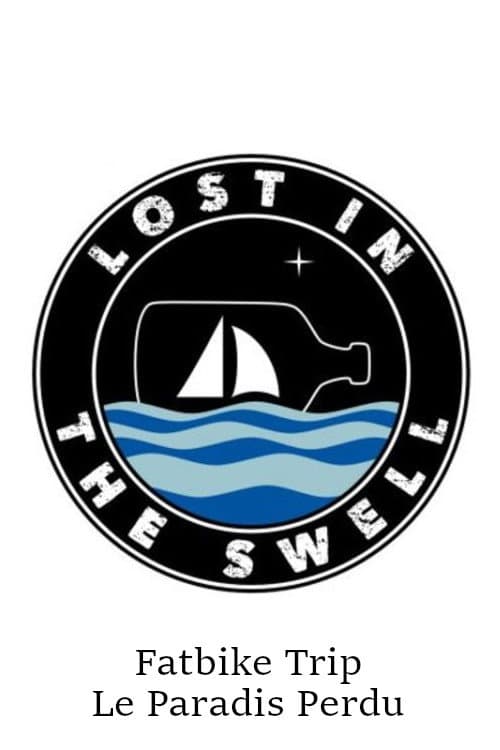 Lost In The Swell Season 4 poster