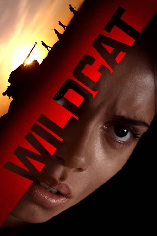 Wildcat