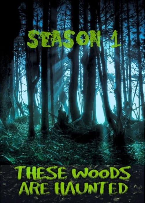 These Woods Are Haunted Season 1 poster