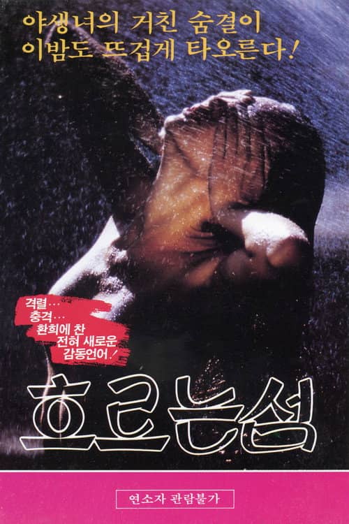 흐르는 섬