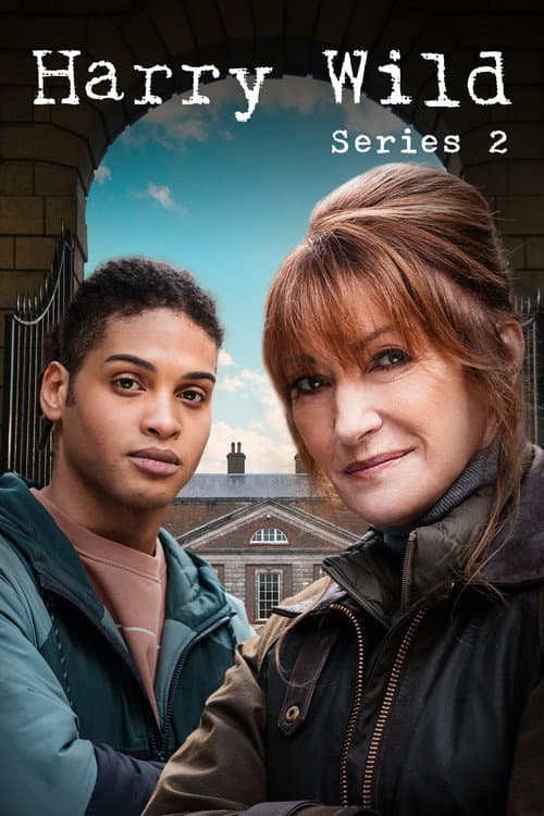 Harry Wild Season 2 poster