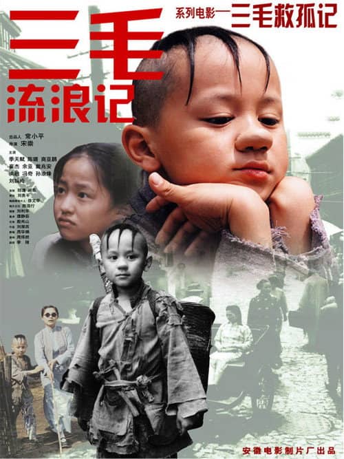 三毛救孤记(2004)