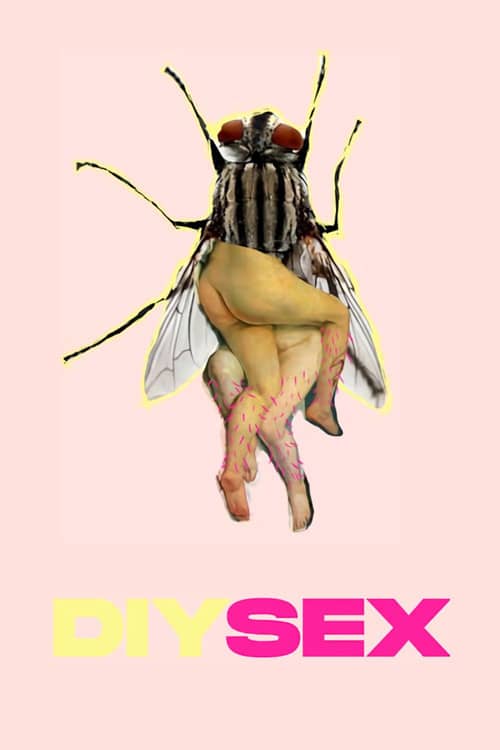 DIYSEX