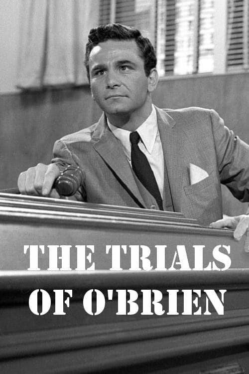 The Trials of O'Brien Season 1 poster