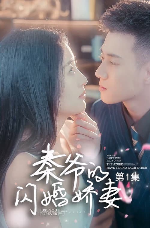 秦爷的闪婚娇妻 Season 1 poster