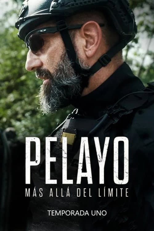 Pelayo: Más Allá Del Límite Miniseries poster