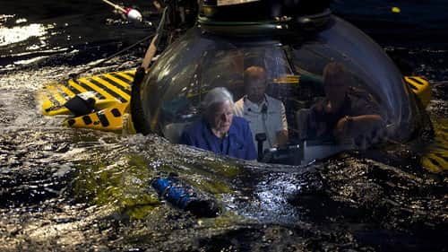 Attenborough's Global Adventure