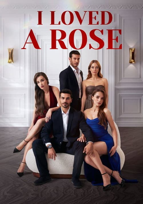 Ask Yarası Season 1 poster