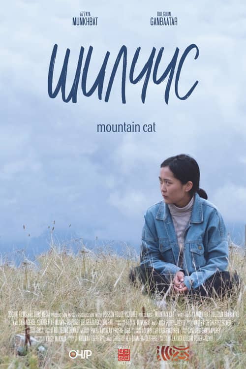 Mountain Cat